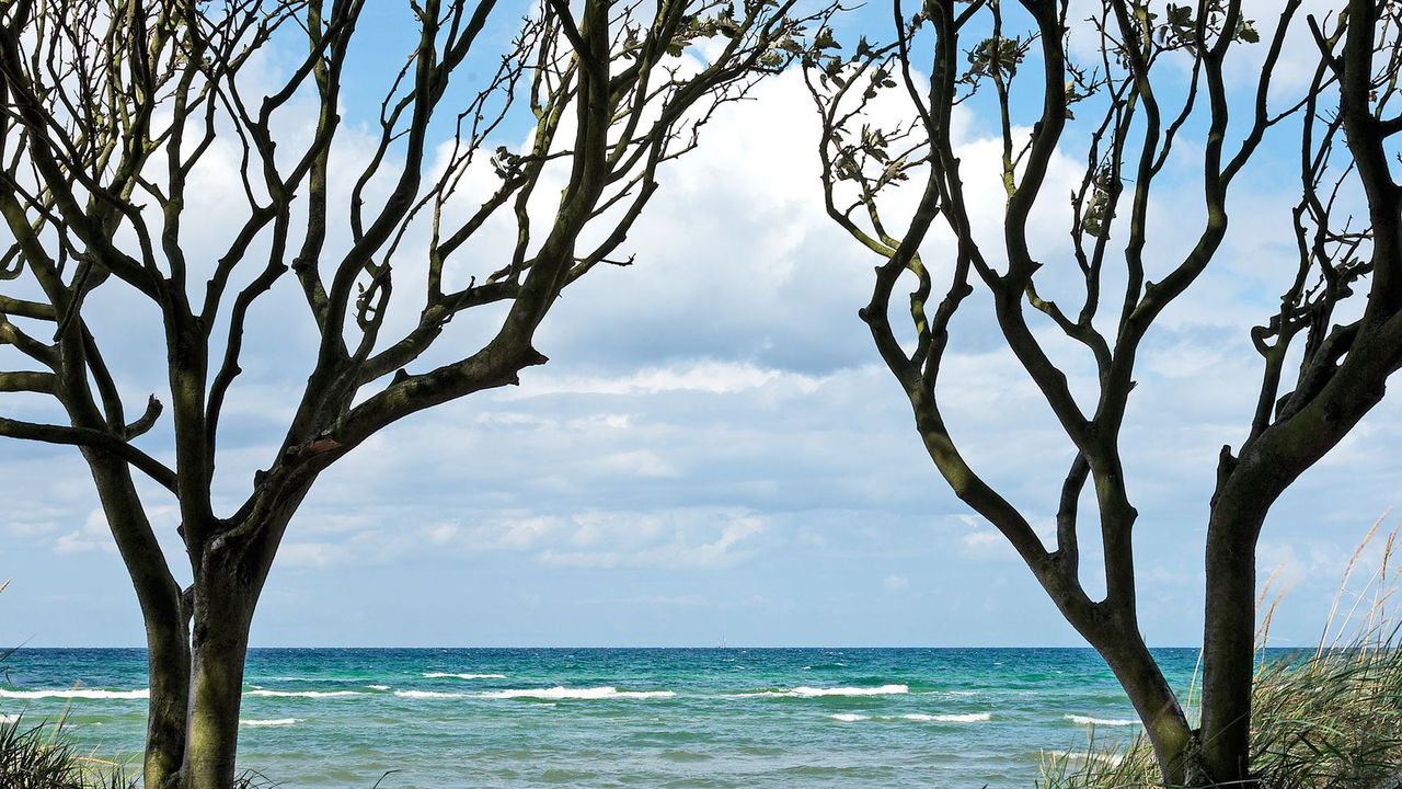 Landschaft Landschaft